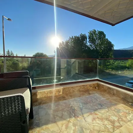 Dogayla Ic Ice * Αδραμύττιο