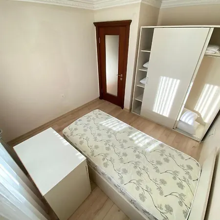 Dogayla Ic Ice Αδραμύττιο